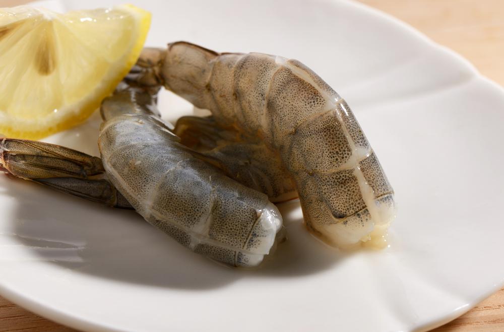 DSC_0217 副本生易開背生蝦仁(1).jpg